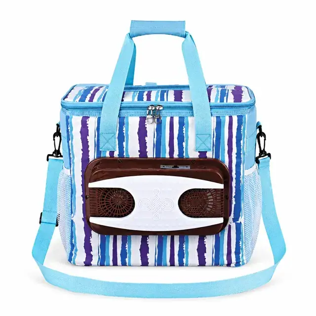 Electric Cooler Bag for Beverage Preservation 10L 600D Polyester+PEVA 32×24×27cm — product view