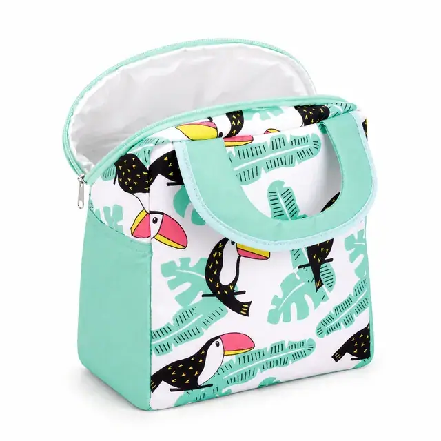 Custom Printed Insulated Lunch Bag for Wholesale (Polyester, 24.5×16×25cm) — product view