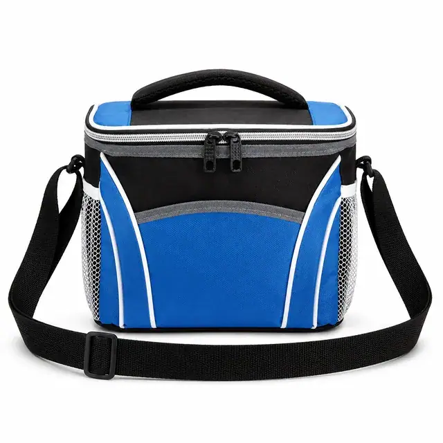 Insulated Lunch Box for Office, Picnic and Outdoor (600D/PVC, 22x15.5x19 cm) — product view