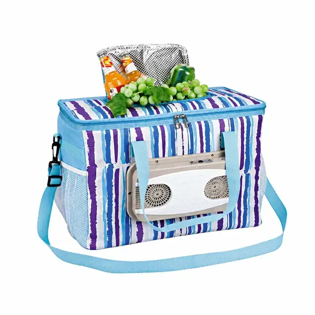 Wholesale Electric Car Cooler Bag 600D Polyester+PEVA 47×28×32cm — product view